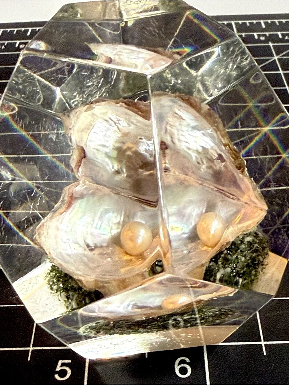 Vintage Lucite Paperweight With Pearl in Oyster Shell